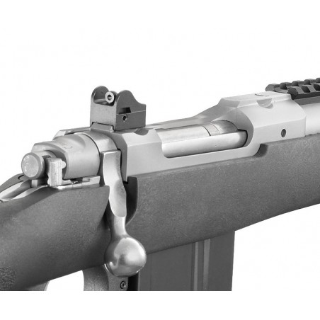 RUGER Scout - 308 Win